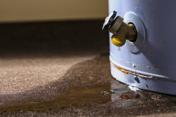 Best Fire Damage Restoration  in St Lawrence, PA