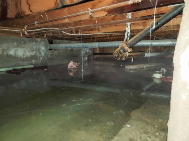 Best Commercial water damage restoration  in St Lawrence, PA