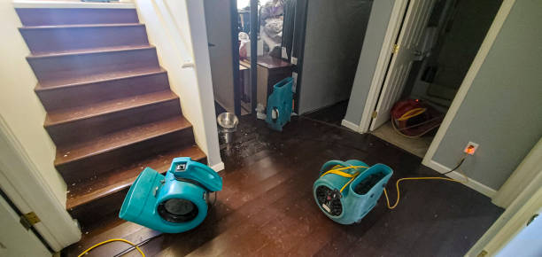 Best Professional water damage repair  in St Lawrence, PA