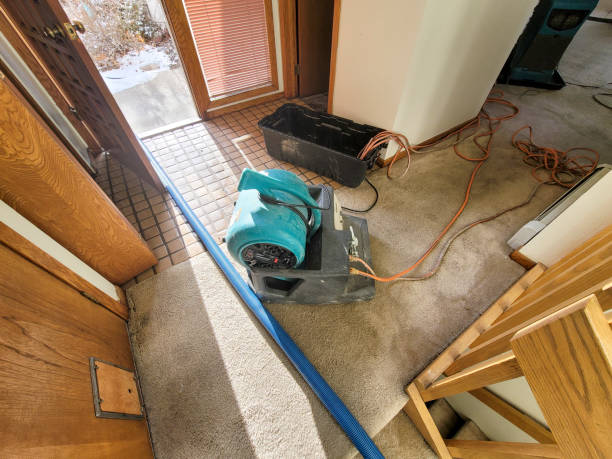 Best Carpet water damage restoration  in St Lawrence, PA