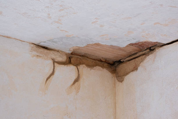 Best Mold removal after water damage  in St Lawrence, PA
